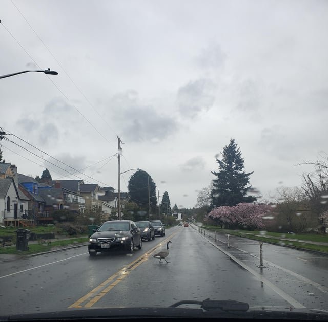 I’m never leaving Seattle (or this block)