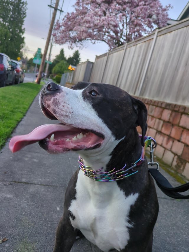 Beautiful night in Columbia City