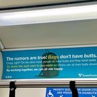 I’m Never Leaving Seattle – Pt. 2