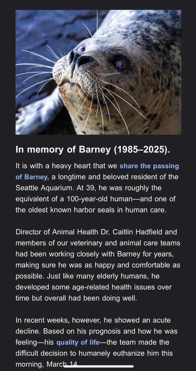 Seattle Aquarium announces the passing of one of their Harbor Seals, Barney, at age 39. RIP Barney 💔