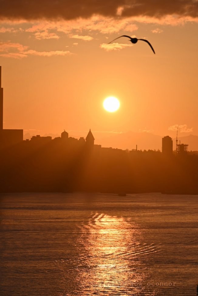 Easter services, Water Taxi change, more for your West Seattle Sunday