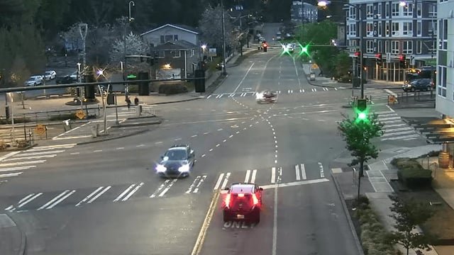 Woman struck by hit-and-run motorcyclist in Seattle dies from injuries