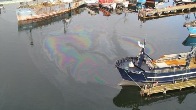 Diesel spill leaves sheen in Salmon Bay near Ballard Locks