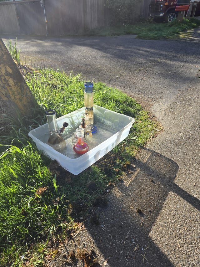 Im never leaving Seattle