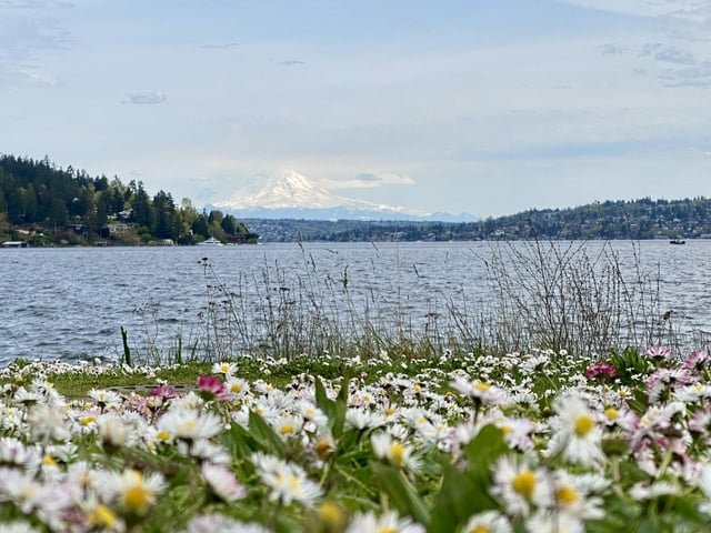 No time like springtime [OC]