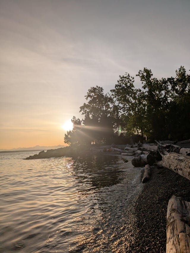 Someone else’s photo convinced me to get outside, so here’s me encouraging others to make the most of this weather