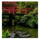 Kubota garden from an r/Seattle photographers meetup