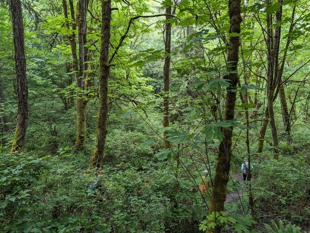 ‘Our goal is to make people fall in love with the greenbelt.’ Plus, gunfire response.  Here’s our April HPAC report