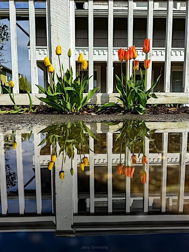 YOU CAN HELP: April showers bring May flowers – in fundraising bouquets!