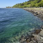 Golden Gardens