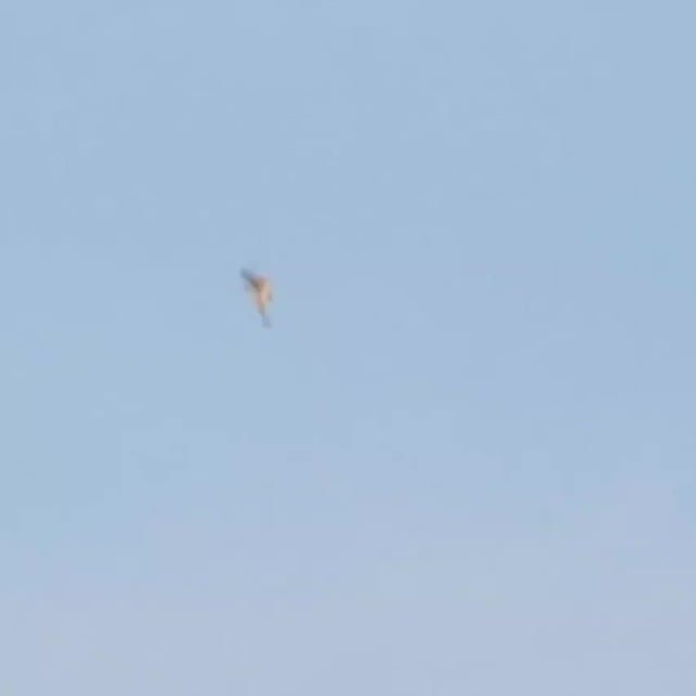 Did you see the guy flying a jetpack over Seattle today?