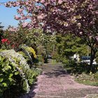 Why is April so nice here