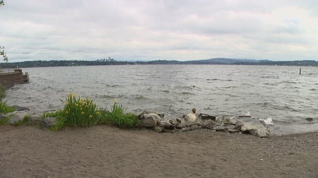 Neighbors demand Seattle take action, claiming ‘rampant’ public masturbation at Denny Blaine Park