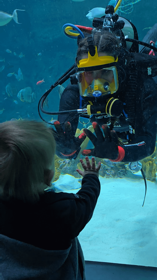 Shout out to the Seattle Aquarium Diver who completly captivated my 1 year old today.