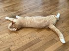 Seattle Heatwave Victims