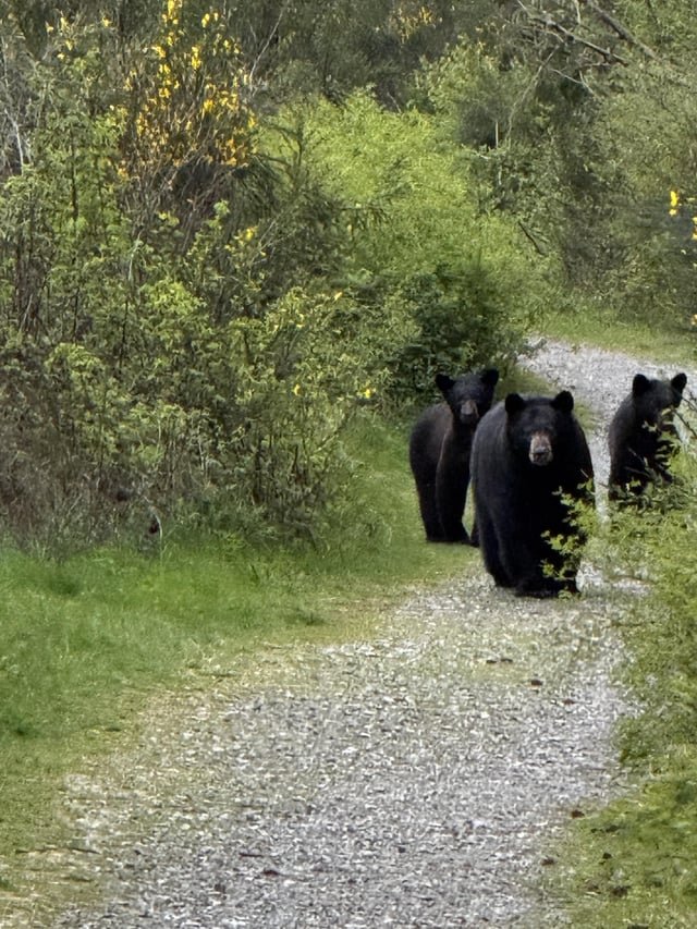 Of course this happens on my first hike in WA