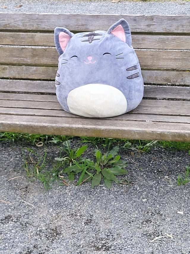 The Adventures of Fluffy the Squishmellow Kat: Larsen Lake Blueberry Farm