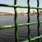 Seattle was very photogenic this weekend! [OC]