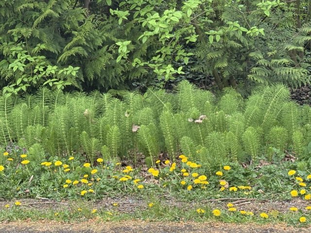 What are these?