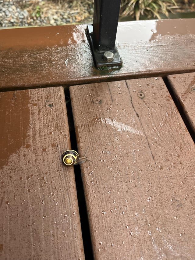 It’s going to take me forever to leave Seattle