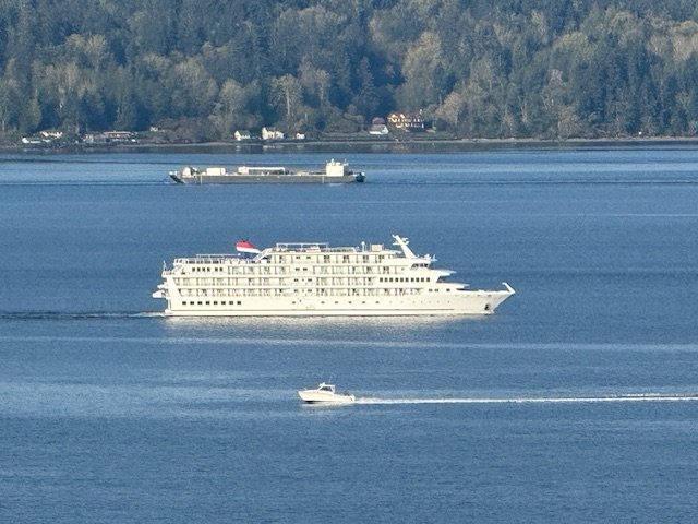 SEEN OFF WEST SEATTLE: Cruise ship American Constitution