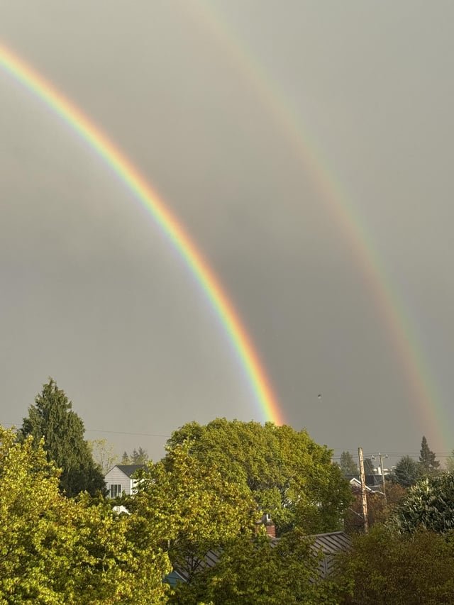 “Why are there so many songs about rainbows?”