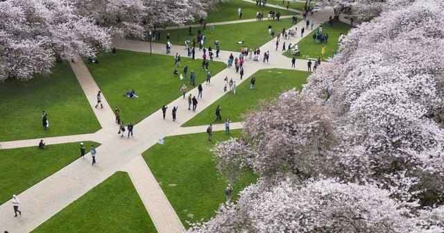 UW Student Visas Revoked