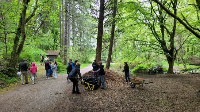 Girl Scout troops team up for Camp Long cleanup