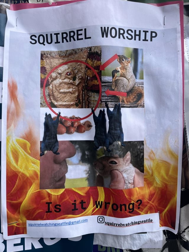 Latest Squirrelwatching Update: Is It Wrong?