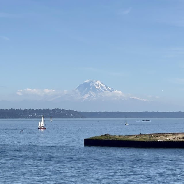 Look who decided to make an appearance