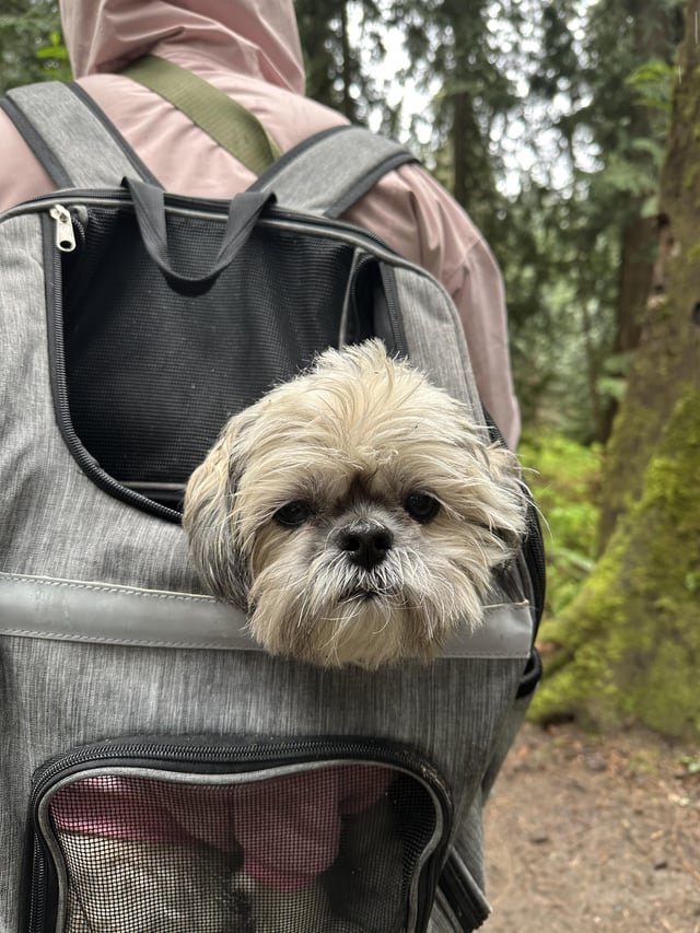 Little Lady Adventures