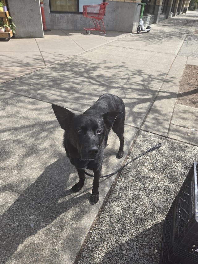 Anyone willing to help.