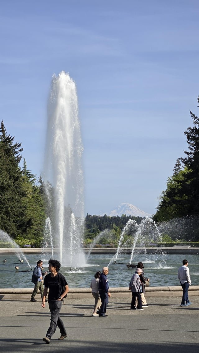 Mountain’s out at UW!