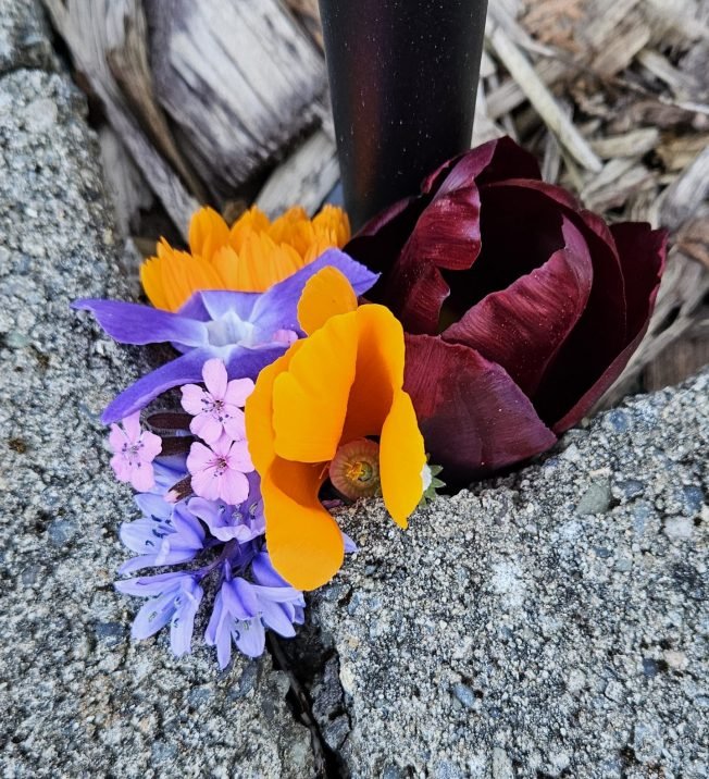 WEST SEATTLE (and beyond) SATURDAY: 40 things to know about!