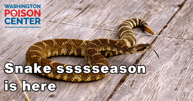 Snake ssssseason is officially here!