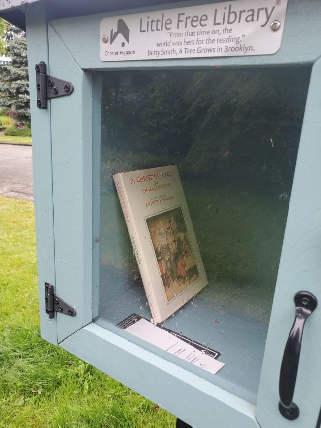 WEST SEATTLE CRIME WATCH: Stolen silver Elantra; Little Free Library emptyings (anyone else?); dumped bag of opened packages
