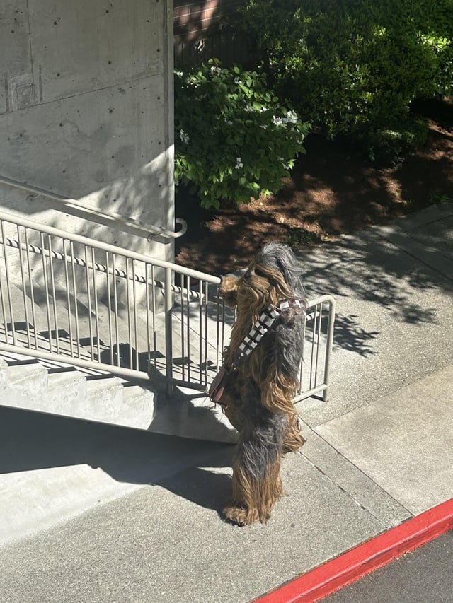 I am never leaving Seattle.