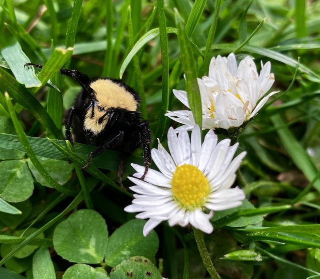 Spring is def springin’ today. Small urban hike photo dump. Including impulse plant shopping. :) Welcome to the weekend, all!