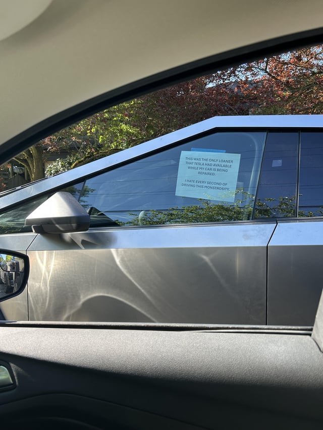 Another Tesla victim