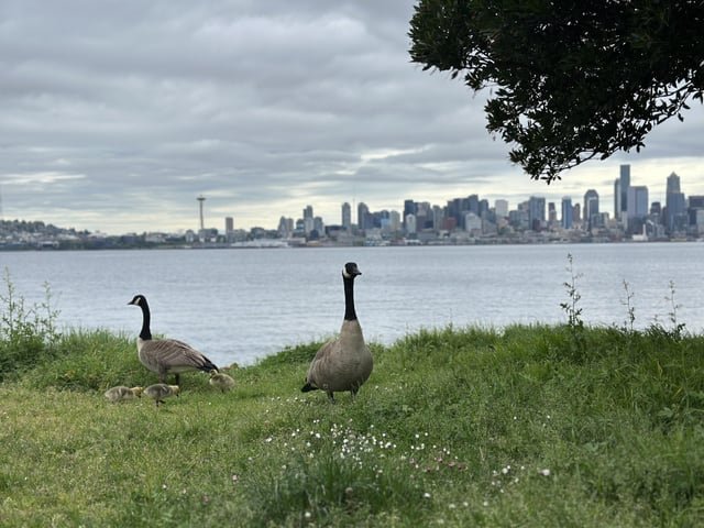 Spotted this cute little family this morning.