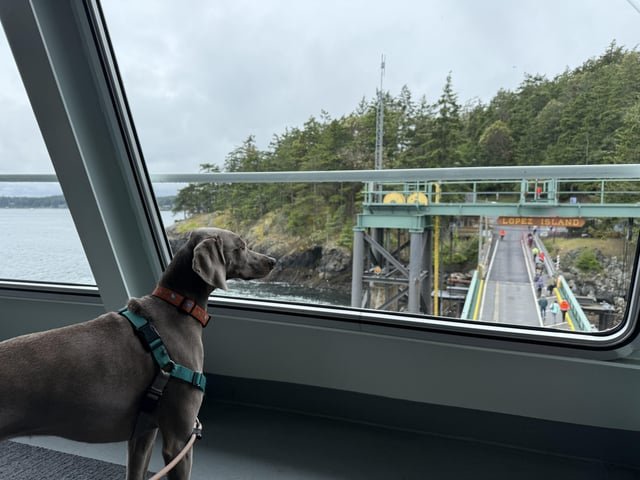 Hello fellow ferry enjoyers