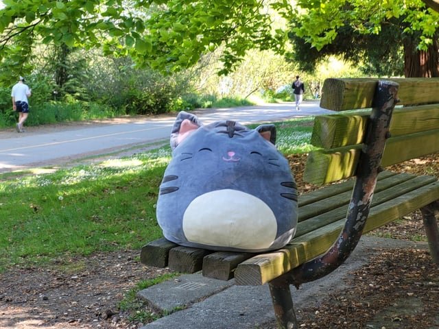 The Adventures of Fluffy the Squishmellow Kat: Green Lake