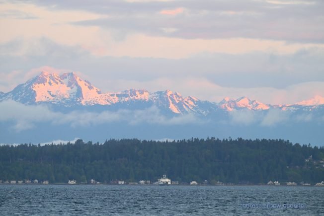 Highland Park walking tour, ferry-system meeting, more for your West Seattle Wednesday