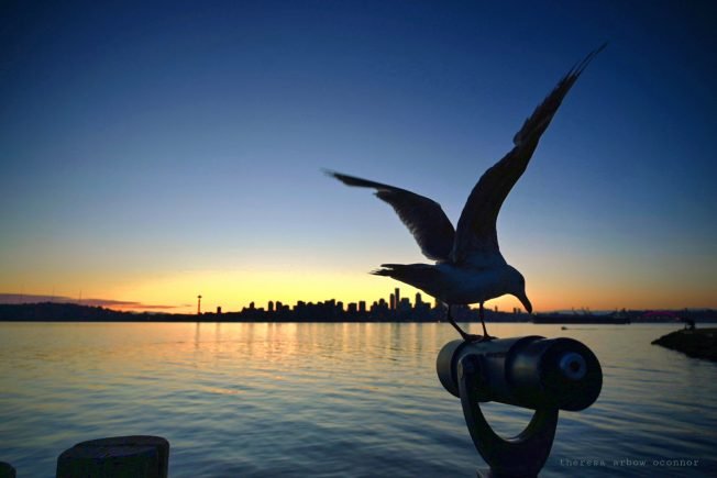 Highlights for your West Seattle Friday