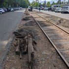 Ballard Terminal Tie work begins