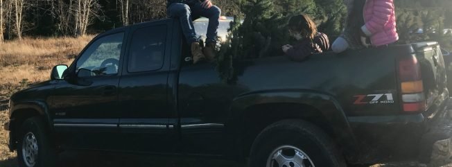 WEST SEATTLE CRIME WATCH: Stolen green Silverado pickup truck