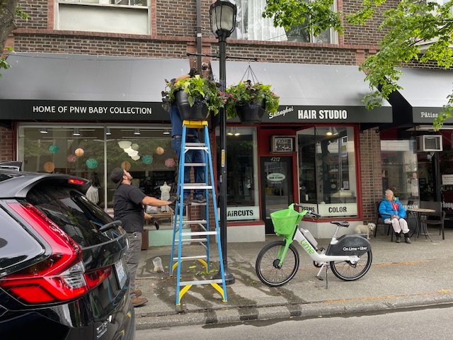 HAPPENING NOW: Flower-basket season begins in West Seattle Junction