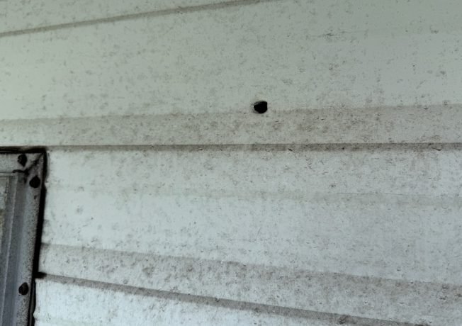 WEEK AHEAD: One month after bullets hit homes, community-safety meetup for North Delridge neighbors