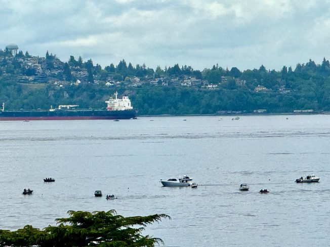 SEEN OFF WEST SEATTLE: Big (half-)day for fishing