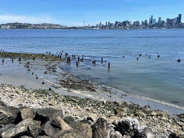 LOW-LOW TIDE: What it looked like on the north shore (and even lower tomorrow)